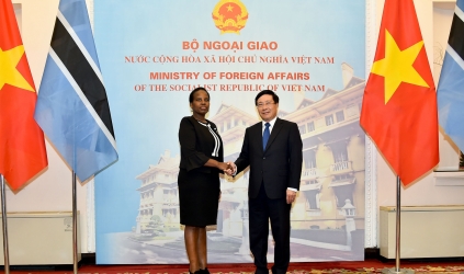 Phó Thủ tướng Phạm Bình Minh đón, hội đàm với Bộ trưởng Bộ Ngoại giao và Hợp tác Quốc tế Botswana