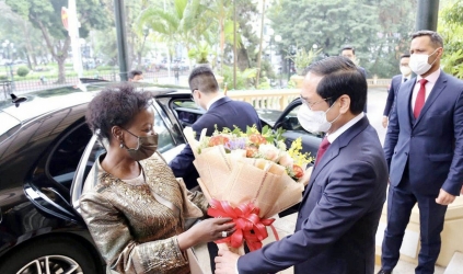 Bộ trưởng Ngoại giao Bùi Thanh Sơn hội đàm với Tổng thư ký Pháp ngữ